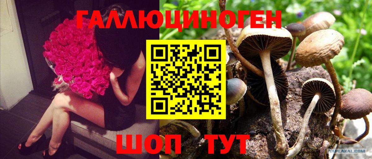 Галлюциногенные грибы ЛСД Александров